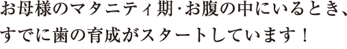 お母様のマタニティ期・お腹の中にいるとき、すでに歯の育成がスタートしています